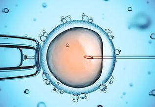 关于瑞柏国际医院